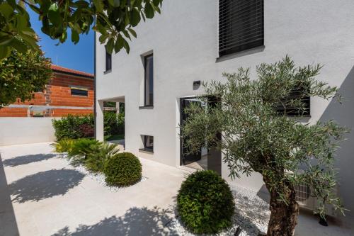 a house with a courtyard with a tree at Villa Ventana with terrace and BBQ in Savudrija