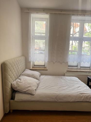 Jaśkowa Dolina OPTILOCUS