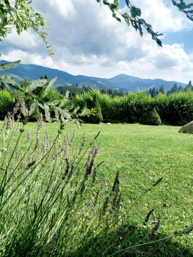 a field of green grass with mountains in the background at Apartmán pod Sivým vrchom in Zuberec