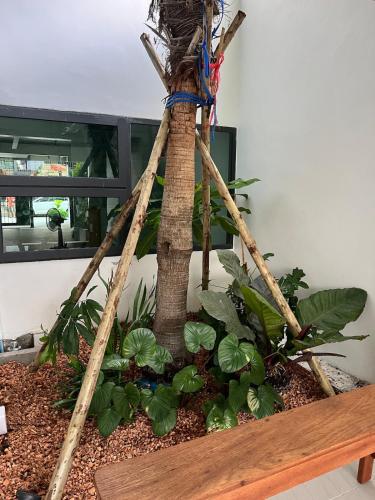 a planter with a palm tree and some plants at 2 Bed & 2 Bath Suite, 3rd floor in Ban Bang Toei (1)