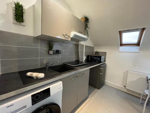 une cuisine avec un évier et une machine à laver dans l'établissement Le Verdélite - Studio design & végétal proche gare, à Évreux