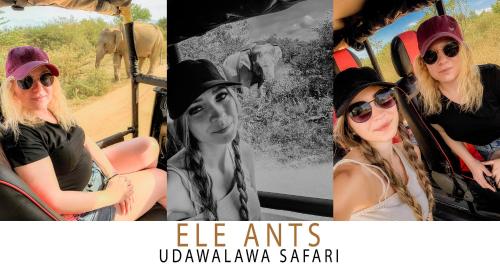 Gambar di galeri bagi Ele Ants di Udawalawe