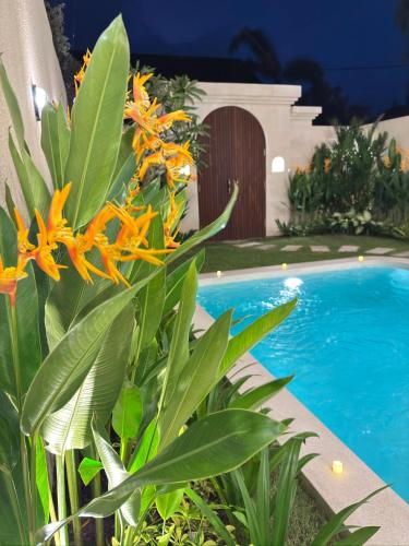 a plant with orange flowers next to a swimming pool at Villa Amaia Canggu in Kerobokan