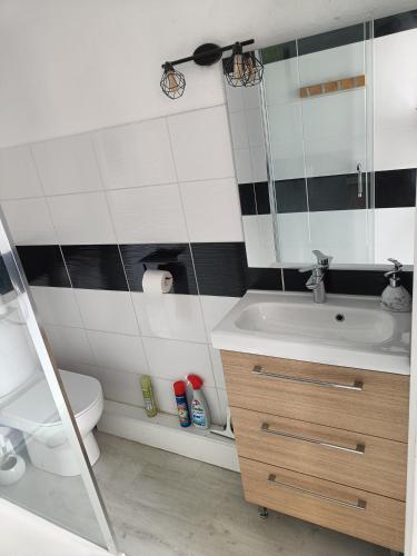 une salle de bain avec un lavabo, des toilettes et un miroir dans l'établissement plage, agréable, refait à neuf, top lit, hôte réactif, terrasse, soleil, paisible., à Saint-Cyprien