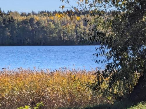 a view of a lake with trees in the background at Modern Cabin by Nora Lake with AC! in Nora