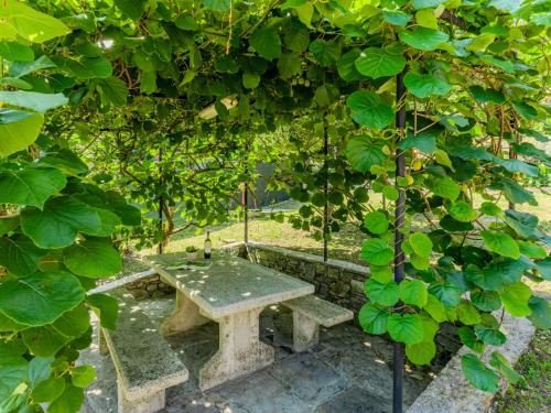 a stone picnic table under a tree with leaves at Holiday Home Angela by Interhome in Perledo