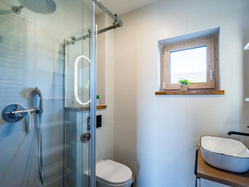 a bathroom with a shower and a toilet and a sink at Pod Lasem Apartamenty in Łukęcin