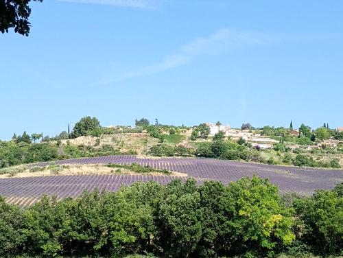 La Bergerie en Provence
