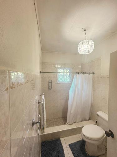 ein Badezimmer mit Toilette und Dusche in der Unterkunft Melrose Villa in Mandeville