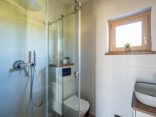 a bathroom with a shower and a toilet and a window at Pod Lasem Apartamenty in Łukęcin