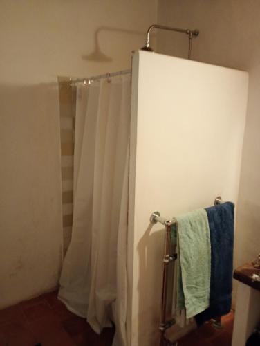La salle de bains est pourvue d'un rideau de douche et d'un porte-serviettes. dans l'établissement La Bergerie en Provence, à Puimichel