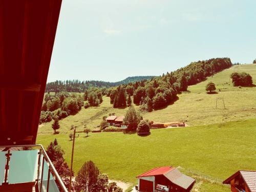 a view of a grassy hill with a house on it at Schwarzwald Hotel Wiedenerhof in Wieden