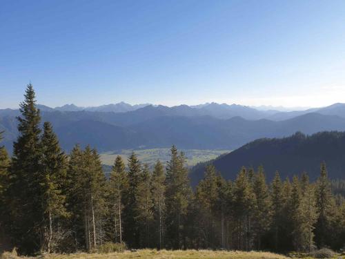 a group of trees on a hill with mountains in the background at SEINZ Tiny House Natururlaub in Bad Kohlgrub