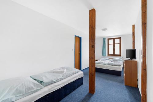 a bedroom with two beds and a tv in it at Wellness Hotel Franz - Rejvíz in Jeseník