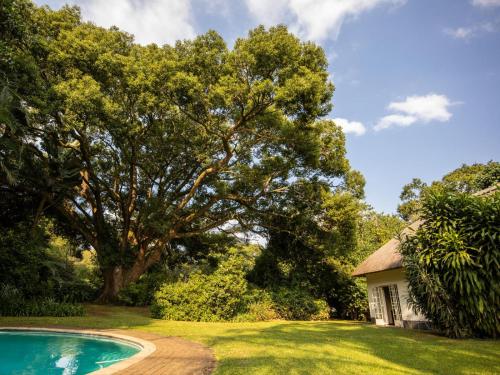 a yard with a pool and a house at Seringa Lodge & Safaris in White River