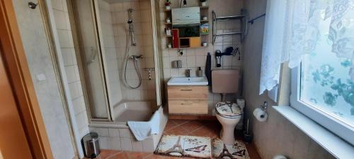 a small bathroom with a toilet and a sink at Haus-Dannigkow in Dannigkow
