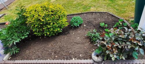 a garden with flowers and plants in a yard at Haus-Dannigkow in Dannigkow