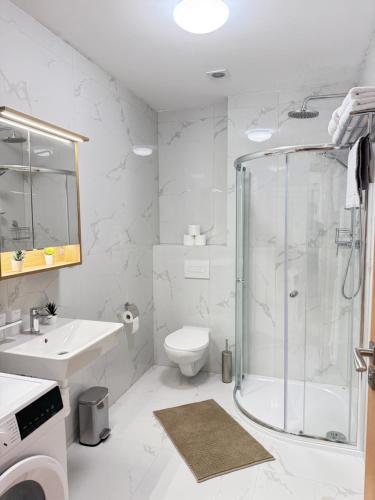 a bathroom with a shower and a toilet and a sink at Riverside Apartment Praha in Prague