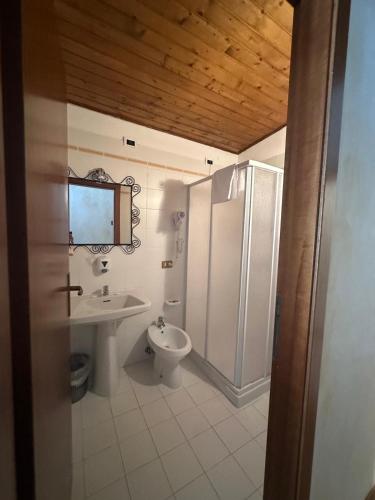 a bathroom with a sink and a toilet at HG Hotel La Caminatha in Val di Zoldo