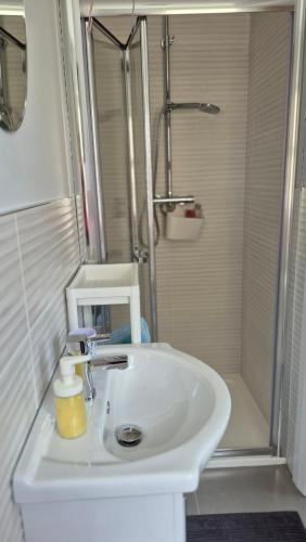a bathroom with a white sink and a shower at Sheepviewhouse Jamie in Kilgarvan