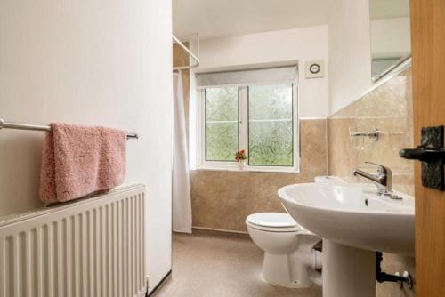 a bathroom with a sink and a toilet and a window at Swingletree Cottage in Bridlington