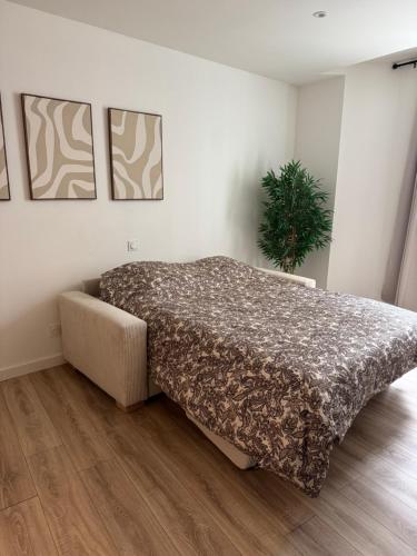 een slaapkamer met een bed en een potplant bij Studio Cosy in Saint-Gaudens