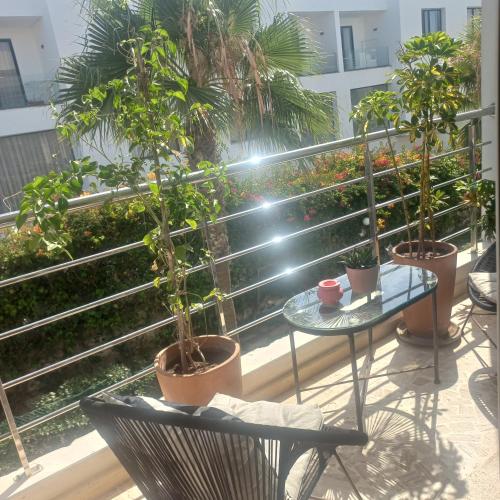 a balcony with a table and potted plants on it at Puerto Marina Dar Bouazza in Dar Bouazza
