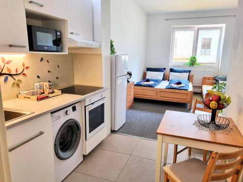 Kuchyň nebo kuchyňský kout v ubytování Apartmán Bystrc, Brno