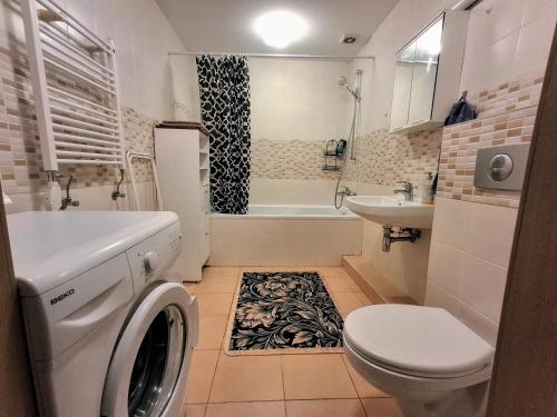 une salle de bains avec lave-linge et lavabo dans l'établissement Cozy Studio in Vilnius Old Town, à Vilnius