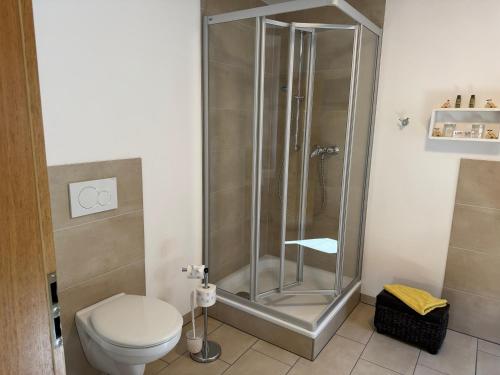 a shower stall in a bathroom with a toilet at Hotel Schwarzer Adler in Heilbad Heiligenstadt