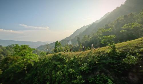 a group of people walking on a hill in a valley at Ban Lien Pine Homestay Lao Cai in Kon Rung (1)