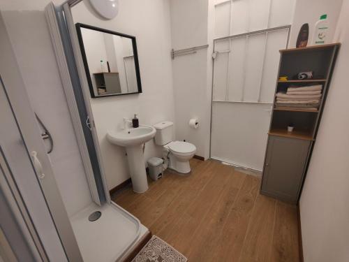 a small bathroom with a sink and a toilet at Guest House - MXP, Lakes, Leonardo, 2 bedrooms in Sesto Calende