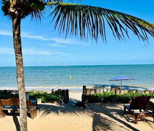 a palm tree and chairs on a beach with the ocean at Pousada Vila do Patacho in Pôrto de Pedras