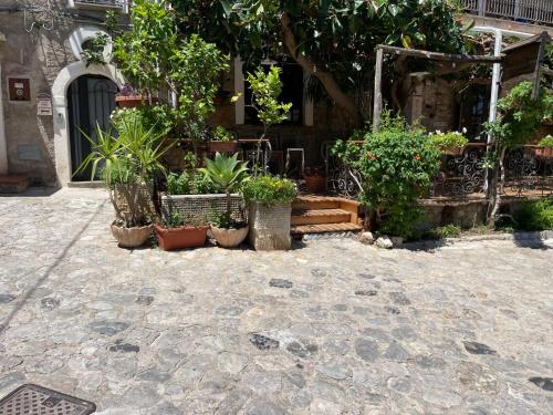 Ein Garten an der Unterkunft La Casa In Piazza