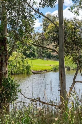 a view of a river with trees and a field at Secluded Stylish and Spacious The LostPlot 