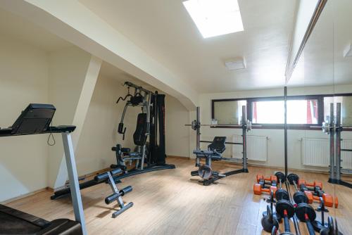 a gym with several exercise equipment in a room at Pensiunea La Bella Vista in Poiana Negrii