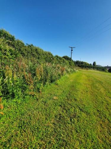 a green field with a telephone pole on a hill at Monroe Horsebox Glamping in Porthleven