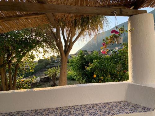 Κήπος έξω από το House La Pennata - sea view