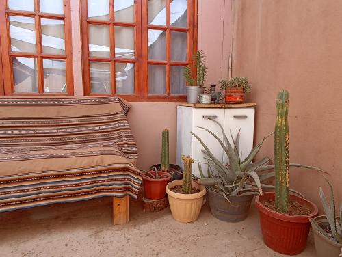 Fotografie z fotogalerie ubytování Casa Ñujtas - cultura, viajes, experiencias v destinaci San Pedro de Atacama