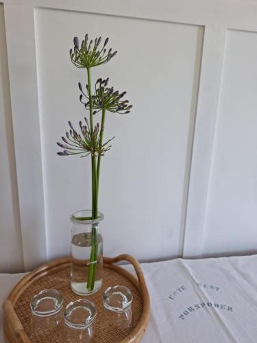 a flower in a vase on a tray with glasses at Côté West in Porspoder