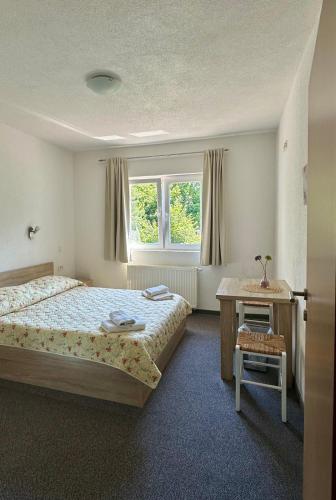 a bedroom with a bed and a table and a window at Guest house Ema in Grabovac