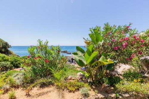 Beachfront apartment Praia dos Aveiros