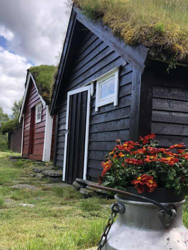 a house with a grass roof with a pot of flowers at Stall Rygg Mountain Cottage, Gloppen 