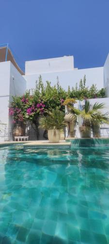 a swimming pool with potted plants next to a building at Dar R'Bat, Maison d'Hôtes de charme in Nabeul
