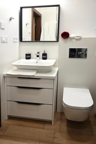 a bathroom with a sink and a toilet and a mirror at Tófény Őrségi Vendégház in Zalalövő