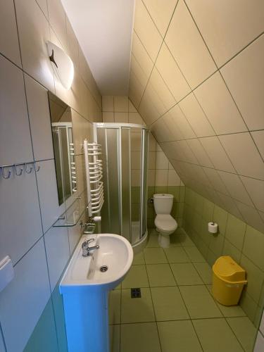 Et badeværelse på Pokoje U Hanki