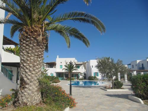 a palm tree and a swimming pool in a resort at Diles Complex Apartment in Ornos