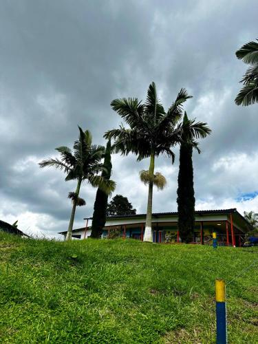 Taman di luar Paisaje Cafetero Hotel Con Piscina y desayuno - Filandia