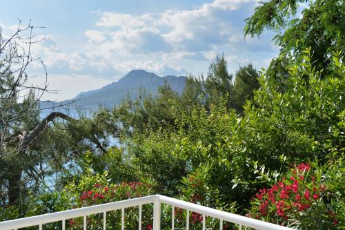 Apartment on the beach - Nemira, Omiš