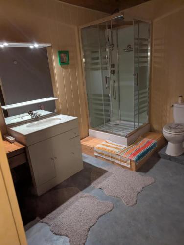 a bathroom with a shower and a sink and a toilet at Auberge Hôtel chambre Tout Confort B-B et Restaurant Les Colombes in Sugny